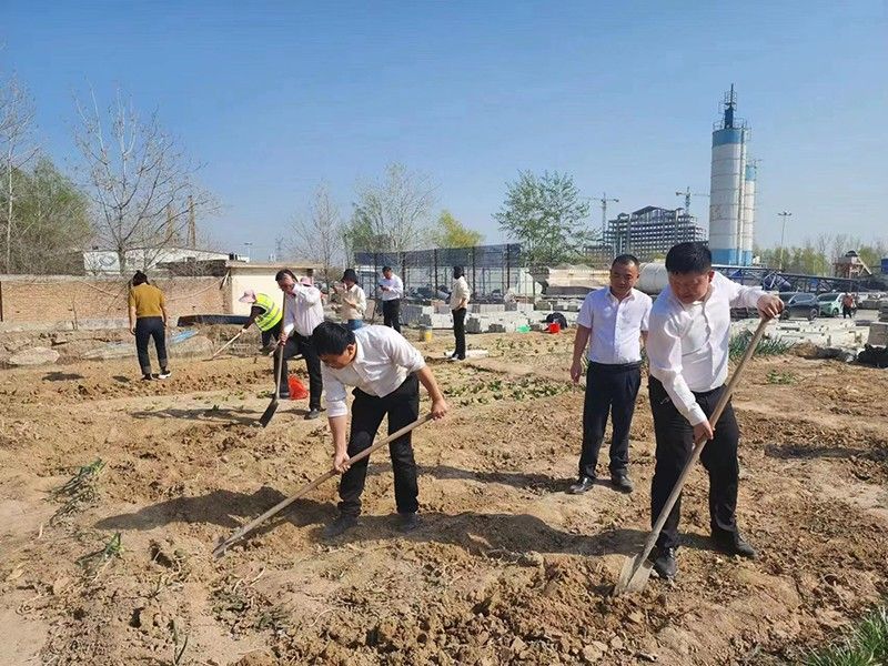 “春播添新綠，不負(fù)好春光”-城建新型材料公司黨支部開(kāi)展主體黨日活動(dòng)